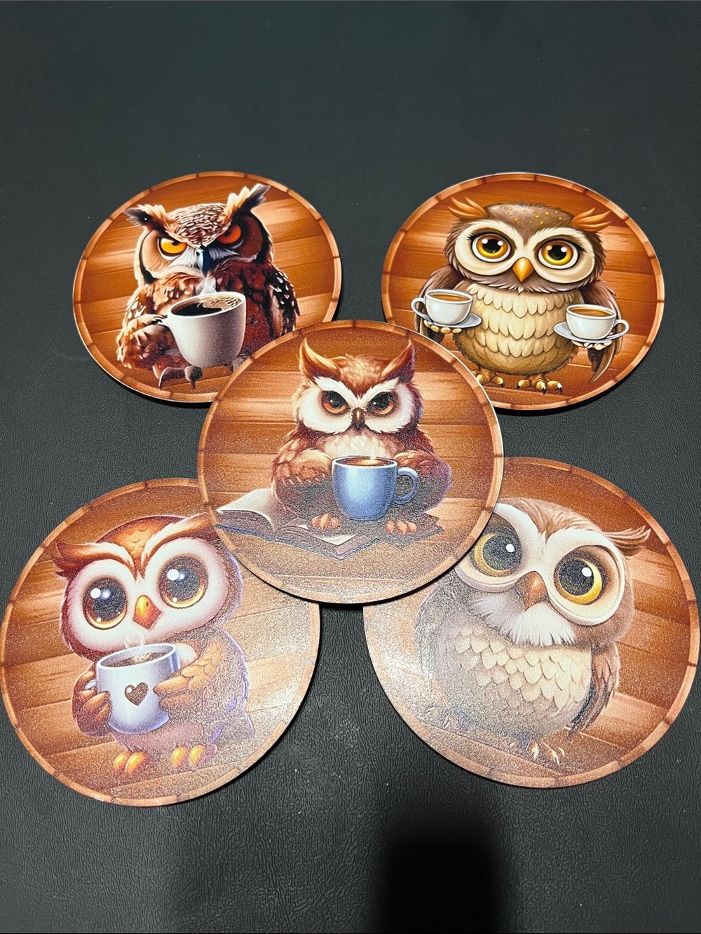 Owl Coaster Set - 5-Pack